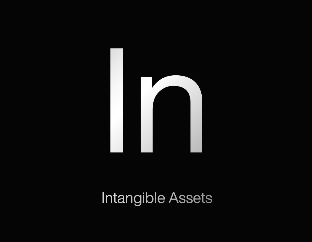 Intangible Assets / IA Audits